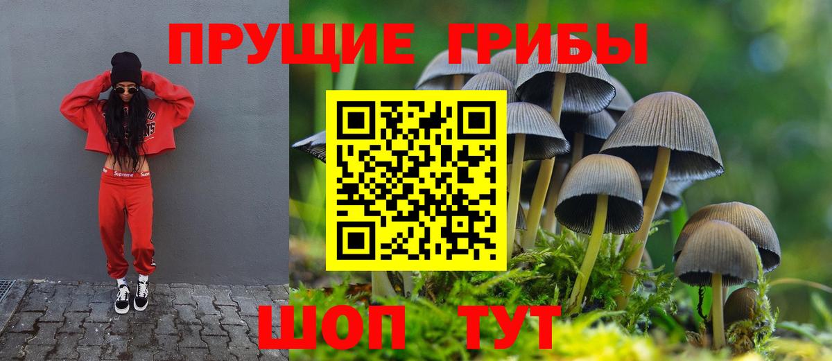 Красноуфимск  Галлюциногенные грибы прущие грибы  Вход с VPN 