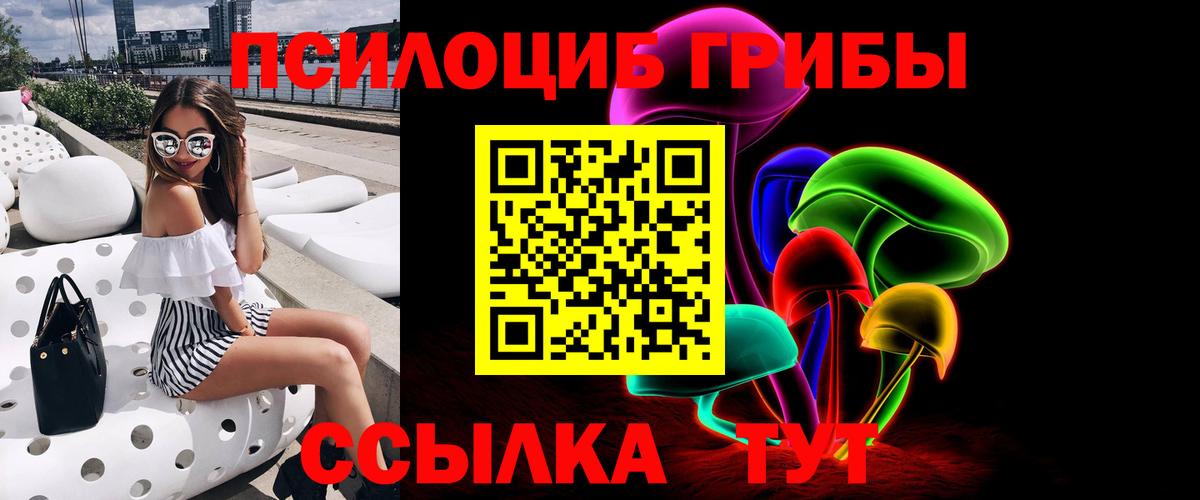 Галлюциногенные грибы Psilocybine cubensis Красноуфимск